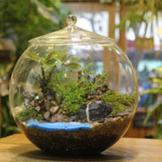 Glass Terrarium Jar DIY Centerpiece Sealed Storage Jar Plants Planter Jar for Desktop Living Room Kitchen Bedroom Coffee