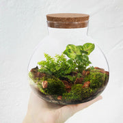 Glass Terrarium Desktop Micro Landscape Bottle Home Decor Moss Crafts Microlandschaft Empty Planter Vases Transparent Soft