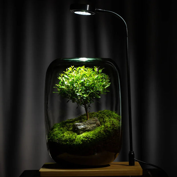 1PCS Creative DIY Eco Terrarium Glass Vase - Modern Minimalist Indoor Home Decor Plant Display for Living Room Desk