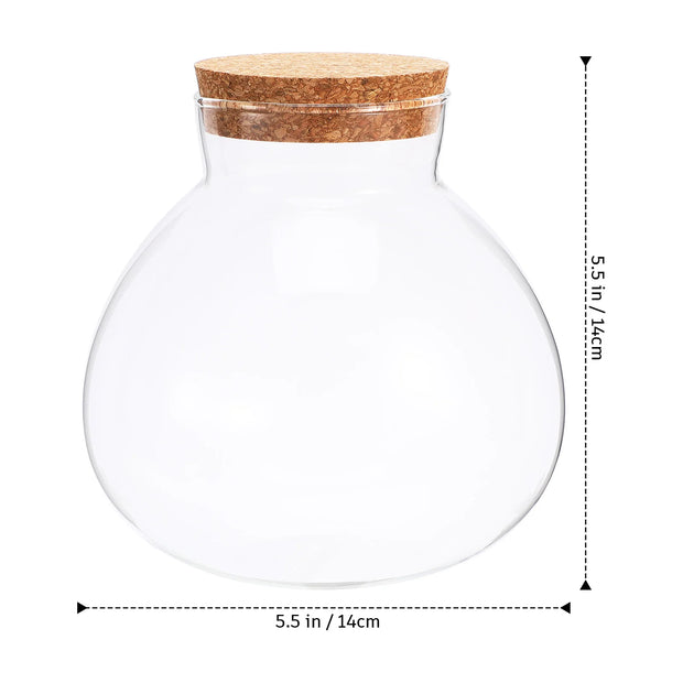 Glass Terrarium Desktop Micro Landscape Bottle Home Decor Moss Crafts Microlandschaft Empty Planter Vases Transparent Soft