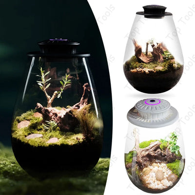 Plant Terrarium with Growing Light Fern Moss Micro Landscape Vase Succulent Planter Glass Bottle Terrarium Home Decoration