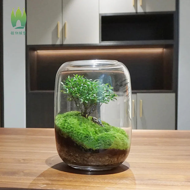 1PCS Creative DIY Eco Terrarium Glass Vase - Modern Minimalist Indoor Home Decor Plant Display for Living Room Desk