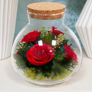 Glass Terrarium Desktop Micro Landscape Bottle Home Decor Moss Crafts Microlandschaft Empty Planter Vases Transparent Soft