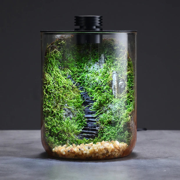 Micro Landscape Ecological Desktop Glass Plant Terrarium with Grow Light for Hydroponic Bryophyte Moss Container Home Decor