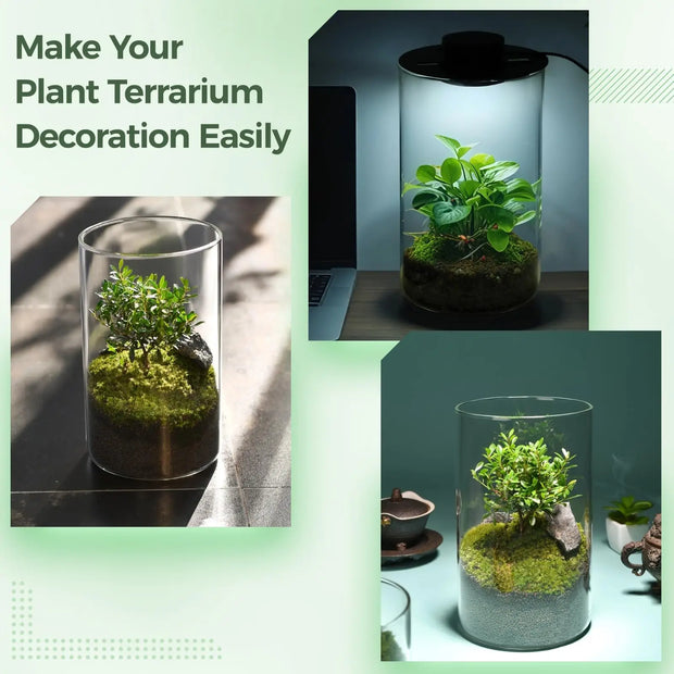 Micro Landscape Ecological Desktop Glass Plant Terrarium with Grow Light for Hydroponic Bryophyte Moss Container Home Decor