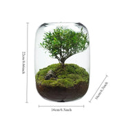 1PCS Creative DIY Eco Terrarium Glass Vase - Modern Minimalist Indoor Home Decor Plant Display for Living Room Desk