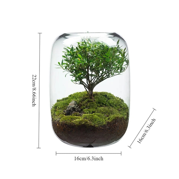 1PCS Creative DIY Eco Terrarium Glass Vase - Modern Minimalist Indoor Home Decor Plant Display for Living Room Desk