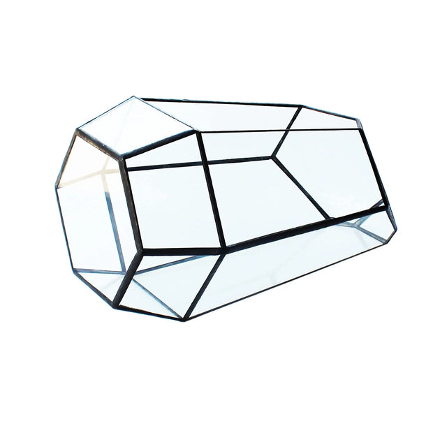 Geometric Glass Terrarium for Indoor Plants Irregular Clear Planter Black Opened Container Pot for Cacti Succulents and Moss
