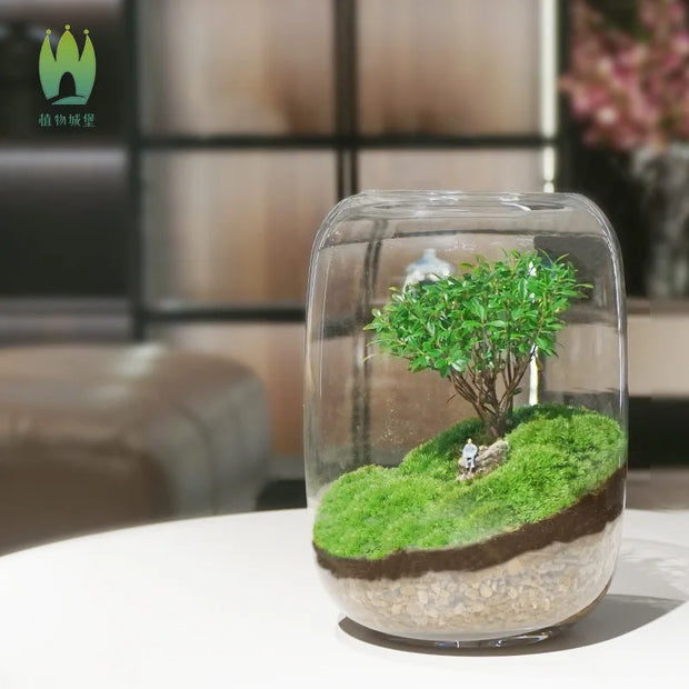 1PCS Creative DIY Eco Terrarium Glass Vase - Modern Minimalist Indoor Home Decor Plant Display for Living Room Desk