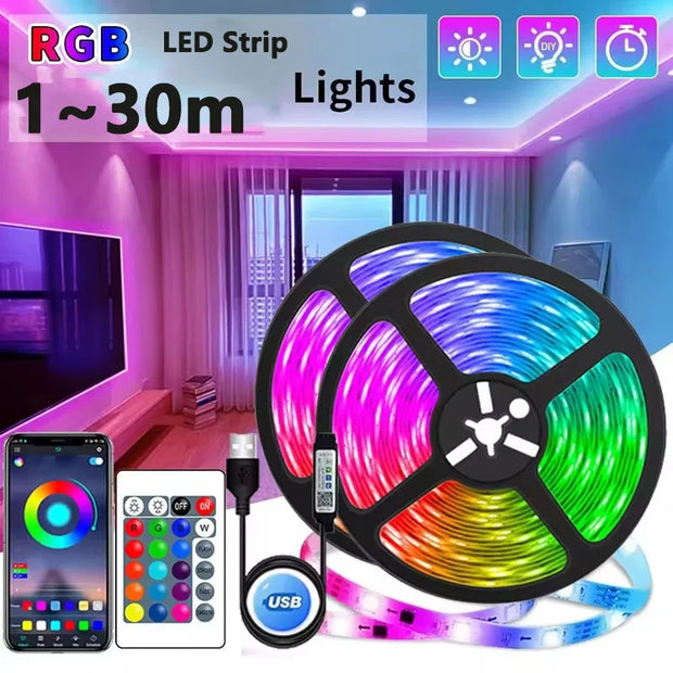 1-30M 5V LED Strip Lights USB Bluetooth APP Control Color Changing and 24key Remote Control RGB Flexible Diode For TV Backlight