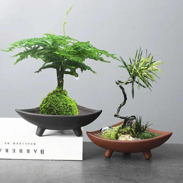 Ceramic Flower Pots for Bamboo Indoor Micro Landscape Plants Purple Clay Pot Decoration