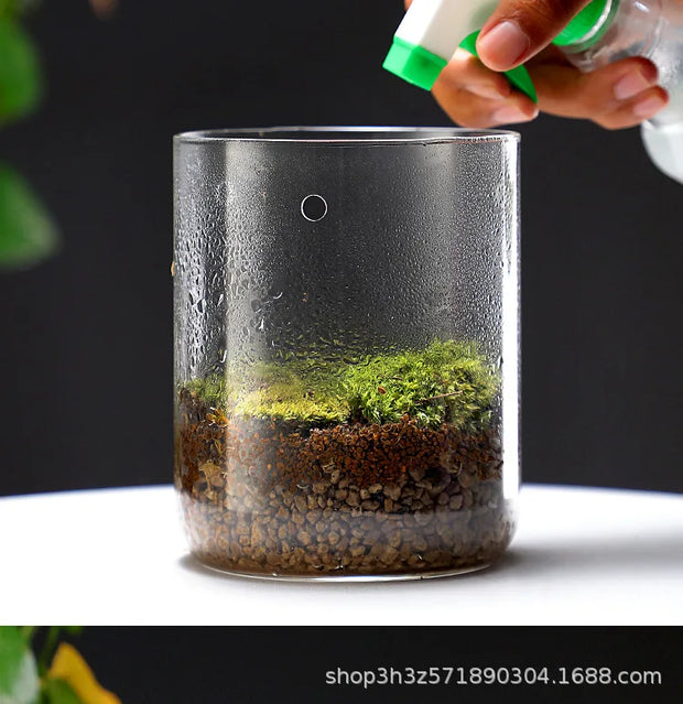 Landscape Moss Vase Indoor Planting Moss Plant Pots Eco Bottle Micro Hole Landscape Glass Cover Perforated Moss Greenhouse Cup