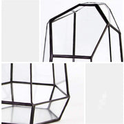 Geometric Glass Terrarium for Indoor Plants Irregular Clear Planter Black Opened Container Pot for Cacti Succulents and Moss