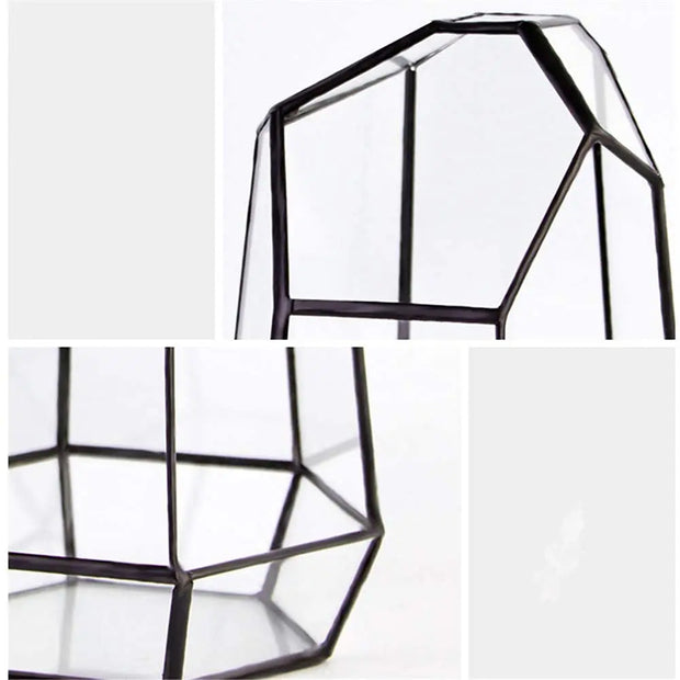 Geometric Glass Terrarium for Indoor Plants Irregular Clear Planter Black Opened Container Pot for Cacti Succulents and Moss