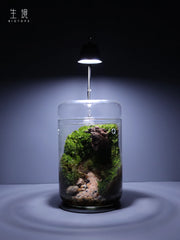 Landscape Moss Vase Indoor Planting Moss Plant Pots Eco Bottle Micro Hole Landscape Glass Cover Perforated Moss Greenhouse Cup