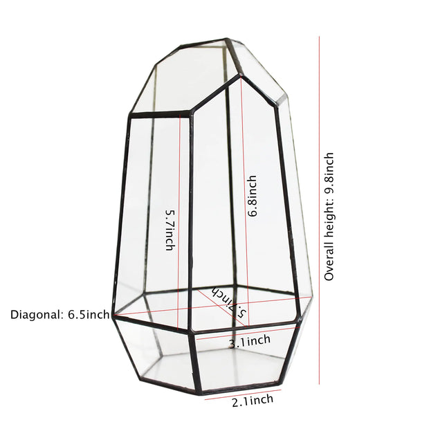 Geometric Glass Terrarium for Indoor Plants Irregular Clear Planter Black Opened Container Pot for Cacti Succulents and Moss