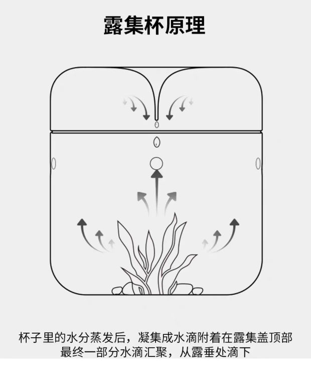 Landscape Moss Vase Indoor Planting Moss Plant Pots Eco Bottle Micro Hole Landscape Glass Cover Perforated Moss Greenhouse Cup
