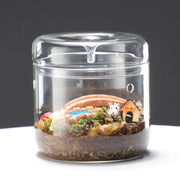Landscape Moss Vase Indoor Planting Moss Plant Pots Eco Bottle Micro Hole Landscape Glass Cover Perforated Moss Greenhouse Cup