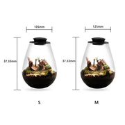 Plant Terrarium with Growing Light Fern Moss Micro Landscape Vase Succulent Planter Glass Bottle Terrarium Home Decoration