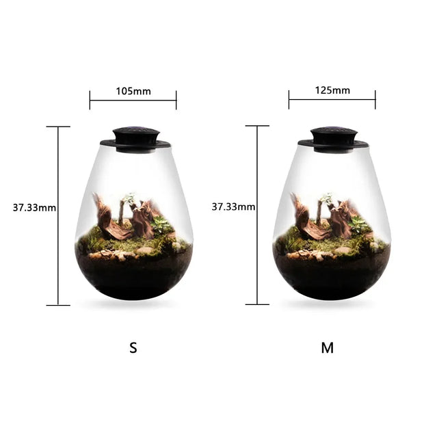 Plant Terrarium with Growing Light Fern Moss Micro Landscape Vase Succulent Planter Glass Bottle Terrarium Home Decoration