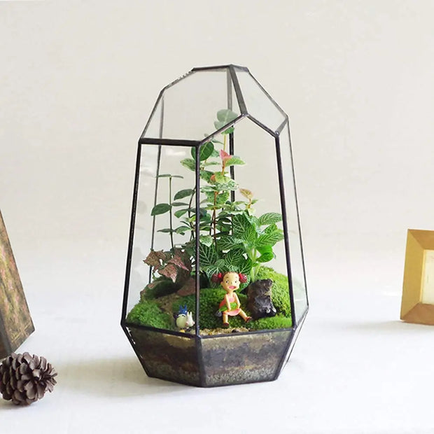 Geometric Glass Terrarium for Indoor Plants Irregular Clear Planter Black Opened Container Pot for Cacti Succulents and Moss