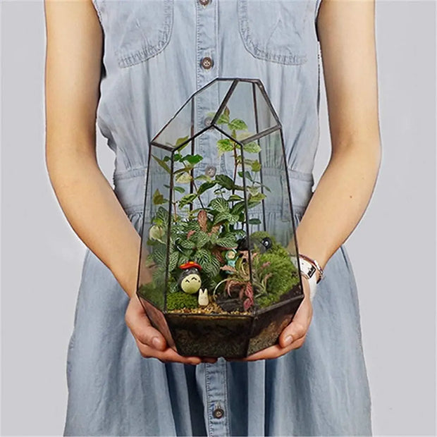 Geometric Glass Terrarium for Indoor Plants Irregular Clear Planter Black Opened Container Pot for Cacti Succulents and Moss