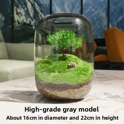 1PCS Creative DIY Eco Terrarium Glass Vase - Modern Minimalist Indoor Home Decor Plant Display for Living Room Desk