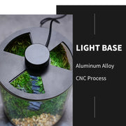 Micro Landscape Ecological Desktop Glass Plant Terrarium with Grow Light for Hydroponic Bryophyte Moss Container Home Decor