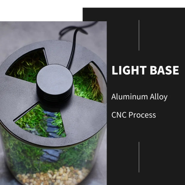 Micro Landscape Ecological Desktop Glass Plant Terrarium with Grow Light for Hydroponic Bryophyte Moss Container Home Decor